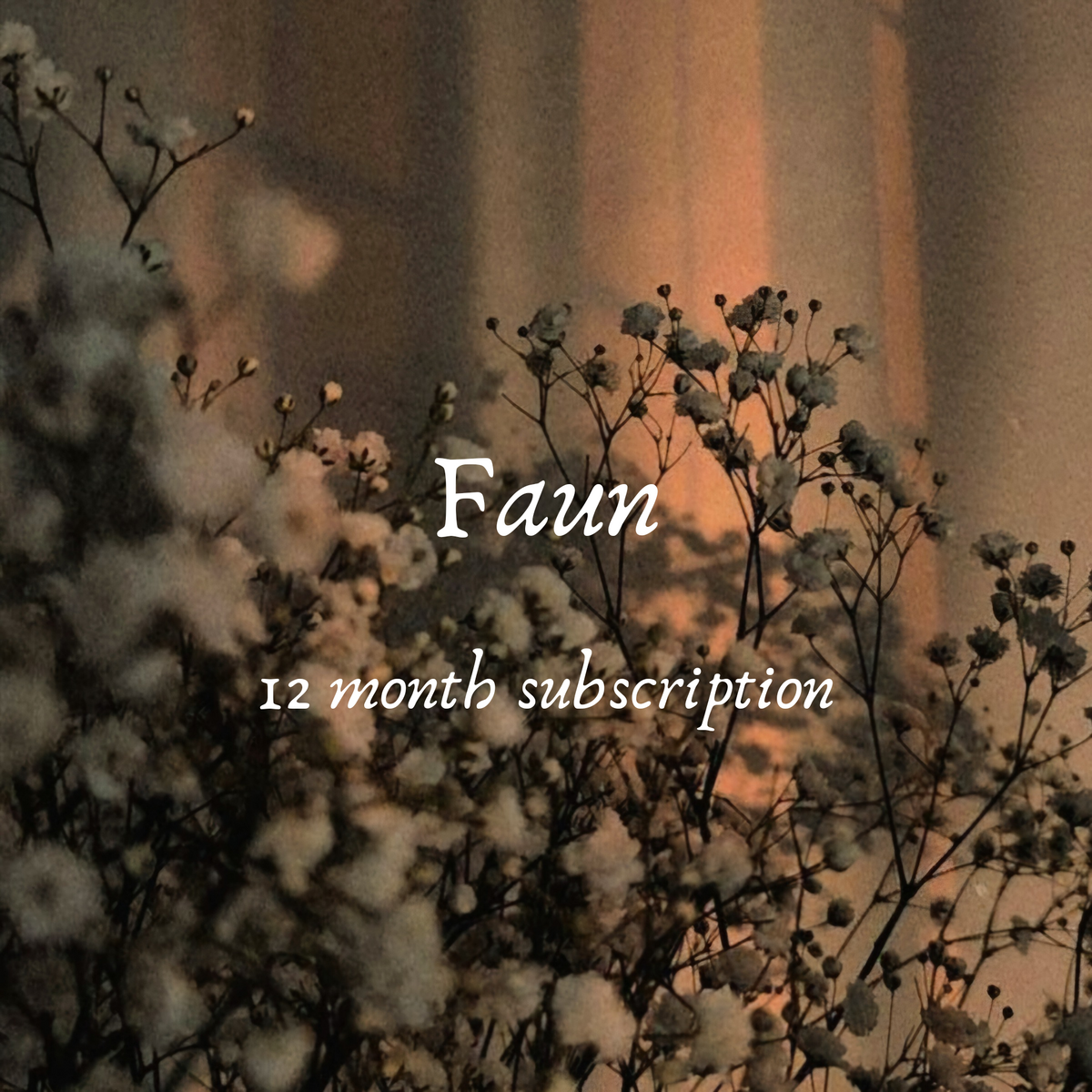 Faun- 12 Month subscription, Gothic color of the Month 2025