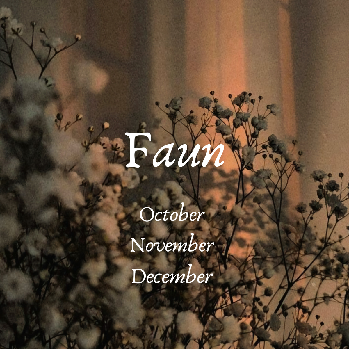 Faun- Oct/Nov/Dec Gothic color of the Month 2025