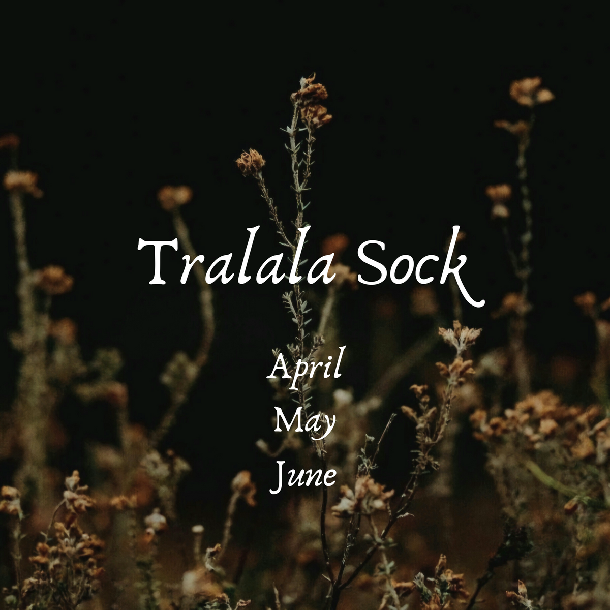 Tralala Sock- Apr/May/Jun Gothic color of the Month 2025