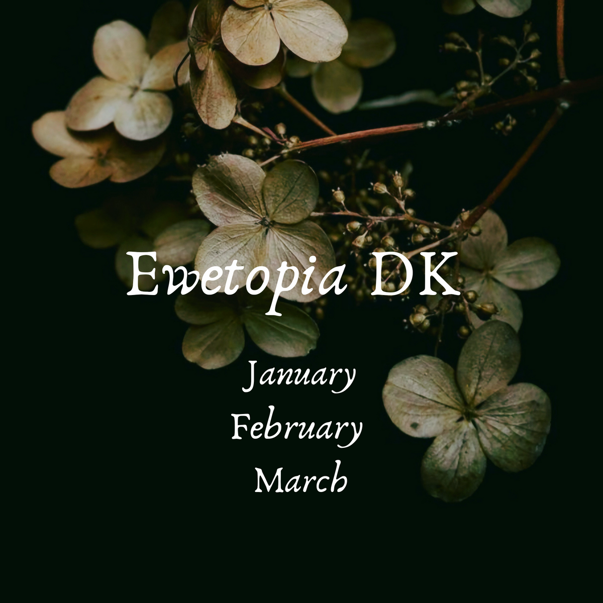 Ewetopia DK- Jan/Feb/Mar Gothic color of the Month 2025