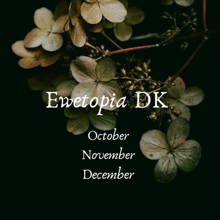 Ewetopia DK- Oct/Nov/Dec Gothic color of the Month 2025